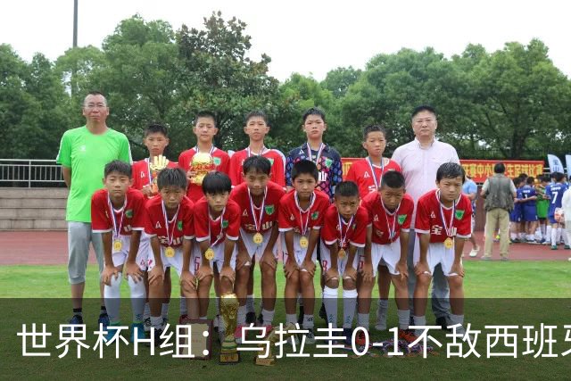 世界杯H组：乌拉圭0-1不敌西班牙 佛得角0-0战平沙特阿拉伯
