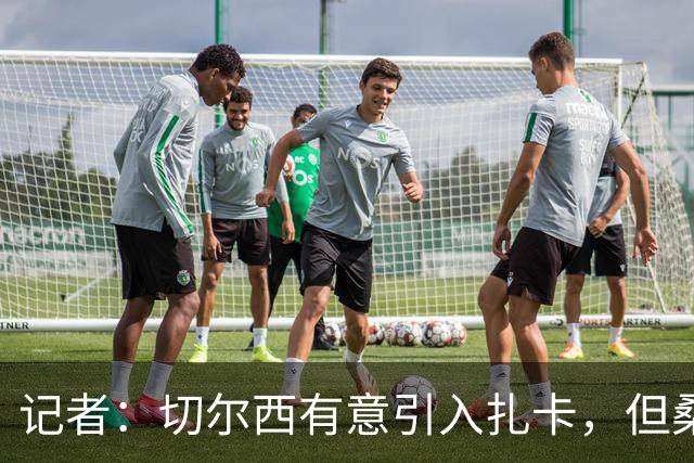记者：切尔西有意引入扎卡，但桑德兰不想出售这名球员