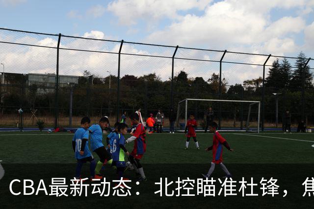 CBA最新动态：北控瞄准杜锋，焦泊乔申请交易，朱芳雨寻求旧将